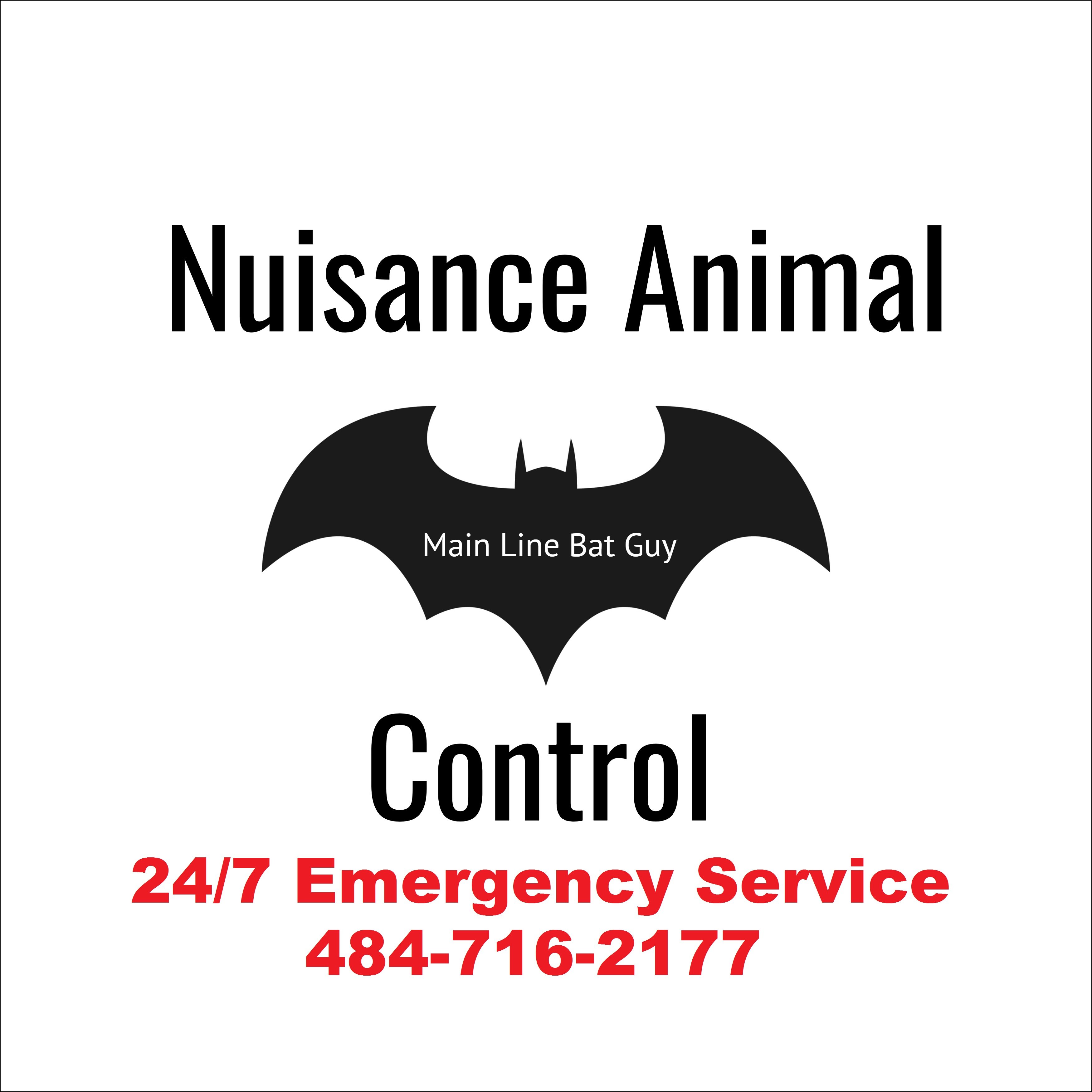 Avatar for Main Line Bat Guy